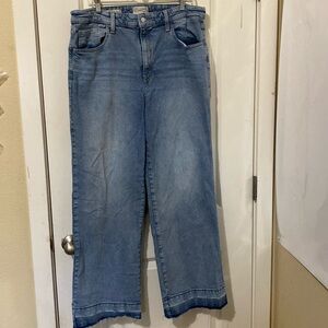 Universal Thread High Rise Wide Leg 16 Regular Jeans